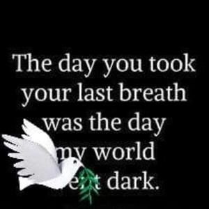 Meet your Posher, Abdullah